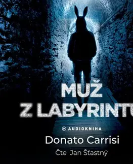 Detektívky, trilery, horory Kanopa Muž z labyrintu