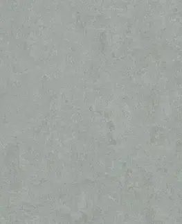 Marmoleum marbled fresco FORBO Marmoleum marbled fresco Cinder 3889