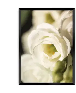 Obrazy Plagát Flower Wall