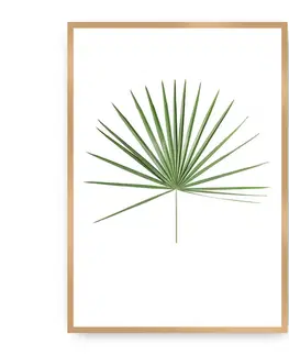 Obrazy Plagát Tropical Leaf Green