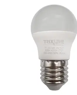 LED osvetlenie  LED Žiarovka G45 E27/4W/230V 4200K 008 0001036