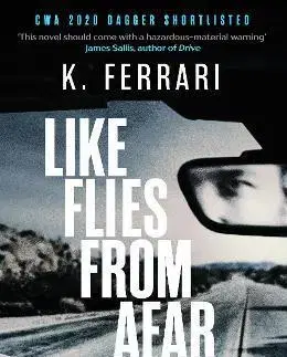 Detektívky, trilery, horory Like Flies from Afar - K. Ferrari