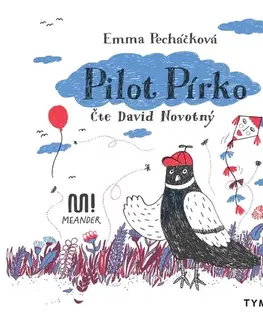 Pre deti a mládež Tympanum Pilot Pírko