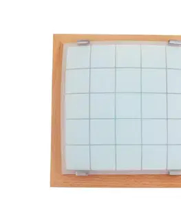 Svietidlá Prezent Nástenné stropné svietidlo GEOMETRICA 1xE27/60W/230V 30x30 cm 