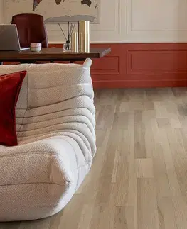 Proplus CORETEC Proplus Excalibur 50RLV4557