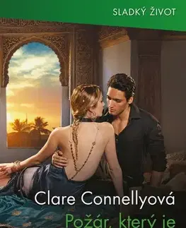 Romantická beletria Požár, který je mohl zničit - Connelly Clare
