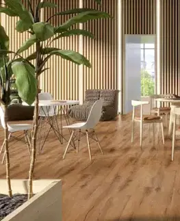 Creation 40 clic acoustic GERFLOR Creation 40 clic acoustic Cedar golden GERCAC40 1606