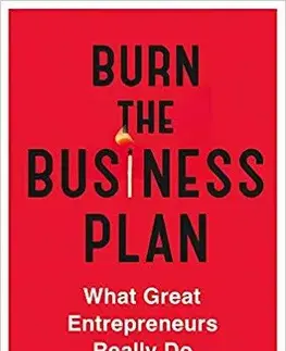 Personalistika Burn The Business Plan - Carl J. Schramm