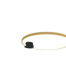 Svietidlá Zam 23096 - LED Stmievateľné stropné svietidlo LED/24W/230V 3000K zlatá 23096