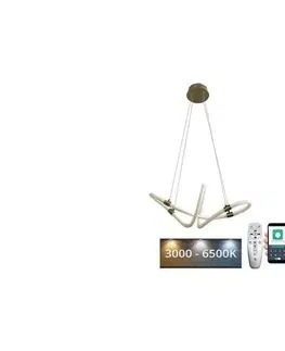 Svietidlá  LED Stmievateľný luster na lanku LED/25W/230V 3000-6500K + diaľkové ovládanie J4364/G
