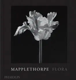 Fotografia Mapplethorpe Flora