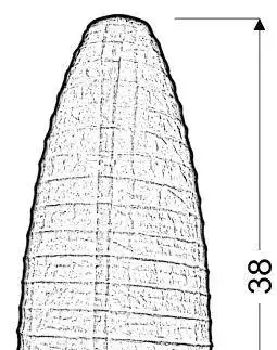 Stolové lampy Papierová stolová lampa žltá Papyrus