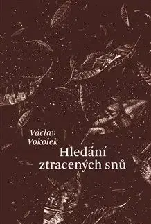 Česká beletria Hledání ztracených snů - Václav Vokolek