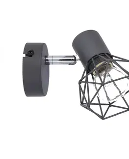 Nástenné svetlá Nástenná lampa s jedným sivým drôtom 1X40W E14 Verve