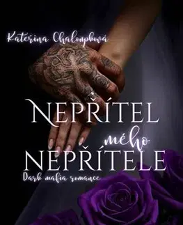 Romantická beletria Nepřítel mého nepřítele - Kateřina Chaloupková