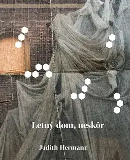 Svetová beletria Letný dom, neskôr - Judith Hermann,Michal Hvorecký