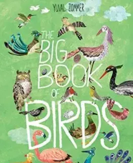V cudzom jazyku The Big Book of Birds - Yuval Zommer