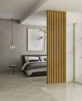 Sprchovacie kúty REA/S - Sprchová kabína Hugo 90x90 Gold Brush Dvere: 90 Stena: 90 KPL-K8413