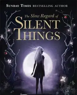 Cudzojazyčná literatúra The Slow Regard of Silent Things - Patrick Rothfuss