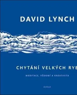Film, hudba Chytání velkých ryb - David Lynch