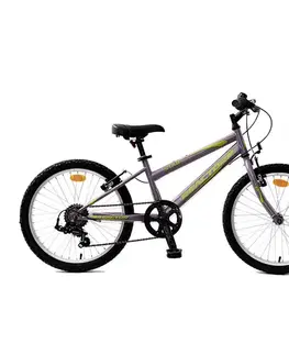 Bicykle Reactor Star 20" 2024 modrá - XS (15", 130-160 cm)