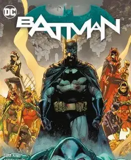 Komiksy Batman 13: Baneovo město, díl druhý - Tony King