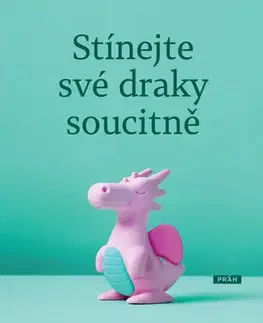 Rozvoj osobnosti Stínejte své draky soucitně - Malcolm Stern,Ben Craib