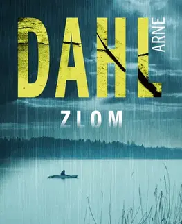 Detektívky, trilery, horory Berger a Blomová 5: Zlom - Arne Dahl,Anna Chelemendiková