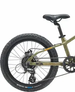 Detské bicykle Genesis Evolution JR20 Disc Mountainbike 20 Veľkosť: 20