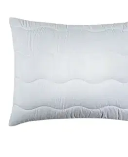 Vankúše Vankúš Aloe Vera 90X70cm TiaHome