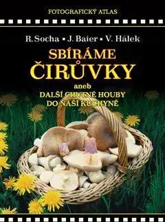 Hubárstvo Sbíráme čirůvky a další chutné houby do naší kuchyně - Jiří Baier,Václav Hálek