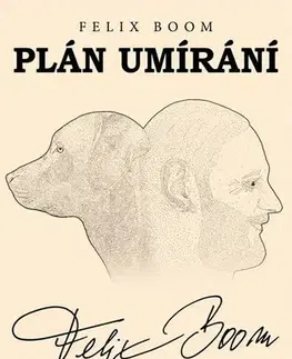 Detektívky, trilery, horory Plán umírání - Felix Boom
