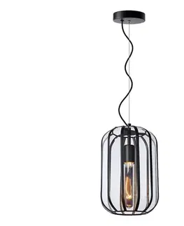 Svietidlá Lucide 25409/01/30 - Luster na lanku FERN 1xE27/60W/230V 25409/01/30