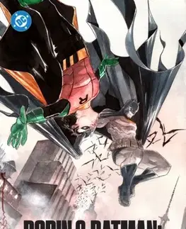 Beletria - ostatné Robin & Batman: Jason Todd - Dustin Nguyen,Jeff Lemire
