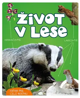 Príroda Život v lese - Wojciech Gil