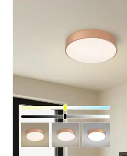 Svietidlá BRILAGI - LED Stmievateľné stropné svietidlo POOL LED/36W/230V priemer 30 cm bronzové +DO BRI1016