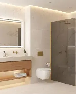 Sprchové dvere REA/S - Sprchová zástena Flexi Grey / Gold 90 KPL-K99785