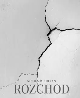 Partnerstvo Rozchod - Nikola R. Kocian