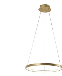 LED osvetlenie Leuchten Direkt 11522-12 - LED Luster na lanku CIRCLE LED/19W/230V 11522-12