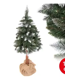Vianočné dekorácie  Vianočný stromček PIN 180 cm borovica SCP 180