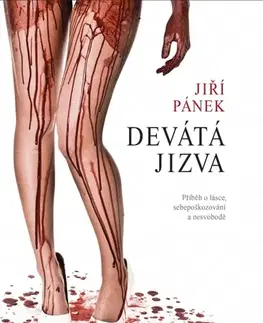 Česká beletria Devátá jizva - Jiří Pánek