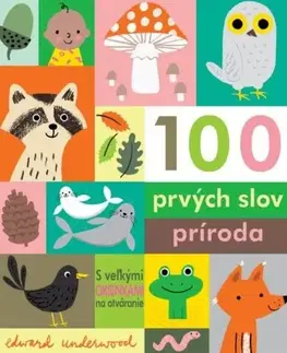 Leporelá, krabičky, puzzle knihy 100 prvých slov: Príroda - Edward Underwood