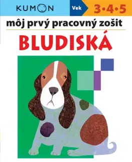 Príprava do školy, pracovné zošity Bludiská - Môj prvý pracovný zošit - Kolektív autorov