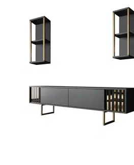 Konferenčné stolíky Televízny stolík s policami Linie Anthracite and Gold