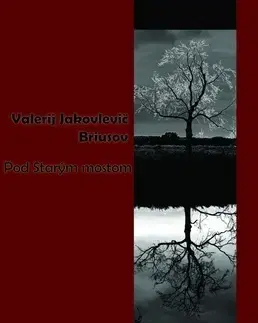 Svetová beletria Pod Starým mostom - Valerij Jakovlevič Briusov