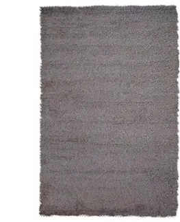 Moderné koberce Koberec Shaggy Tya 09-7 0,8/1,5 030v
