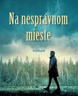 Slovenská beletria Na nesprávnom mieste - Julien Dan