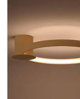 Svietidlá Thoro TH.222 - LED stropné svietidlo RIO LED/21W/230V CRI98 3000K pr. 55 cm zlaté TH.222