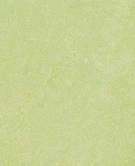 Marmoleum marbled real FORBO Marmoleum marbled real Green wellness 3881 Tl. 2,5 mm