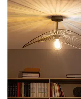 Svietidlá BRILAGI - LED prisadené stropné svietidlo CERIA WIRE 1xE27/60W/230V 40x56 cm čierna/bronzová BG3989+EG300151